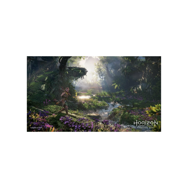 Игра PS5 Horizon Forbidden West RUS Voice